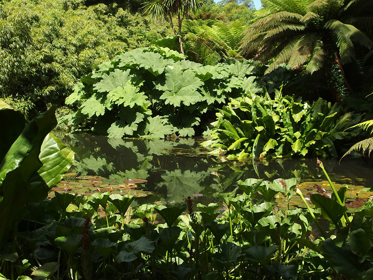 Lost gardens of Heligan, Cornwall