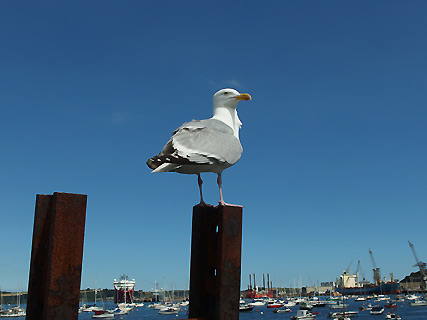 Falmouth, Cornwall