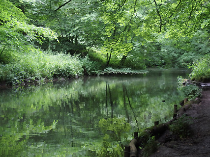 wandeling bij Monk's Dale