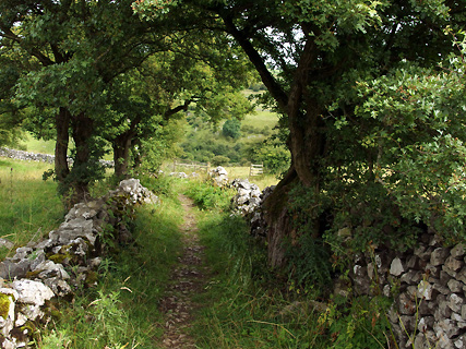 wandeling bij Monk's Dale