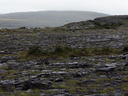 The Burren, landschap