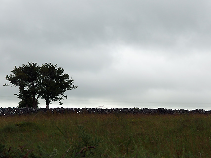 The Burren, muurtje