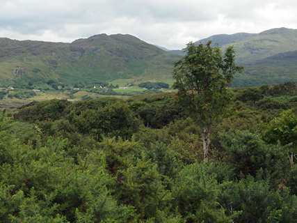 in het Connemara National Park