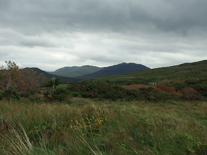 Connemara NP veen en heide