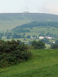 Carrowmore Megalithic Cemetery