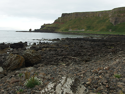 Giant Causeway