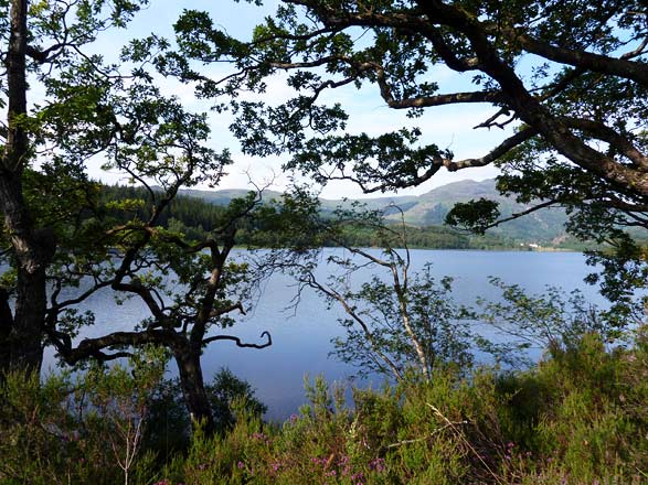 Loch Venagar, onderweg van het huisje naar Aberfoyle