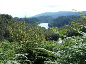 het uitzicht vanaf de 'Duke's Pass', vlak voor Aberfoyle