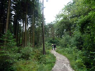 de Forest van Keldy Castle