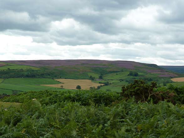 op de North York Moors