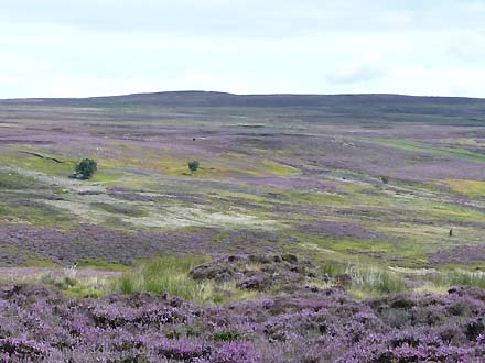 op de North York Moors