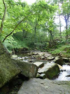 waterval de Mallyan Spout