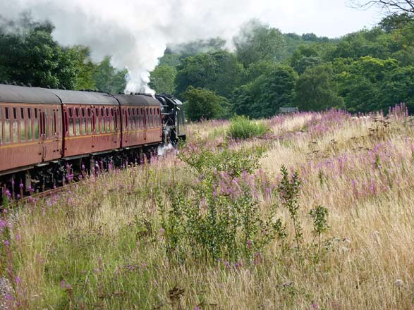 treinreis Pickering Yorkshire